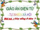 Bài 24. Cây sống ở đâu?